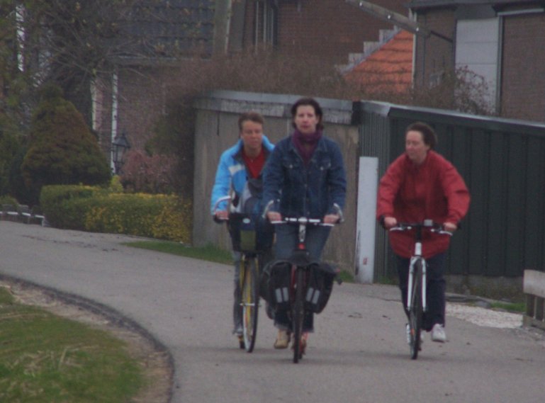 in het voorjaar een Rotte steptocht